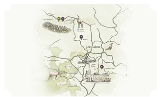In the perfect location section image